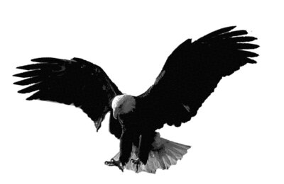 EAGLE 